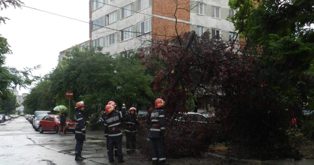 Un copac a cazut peste opt masini pe Soseaua Stefan cel Mare din Capitala