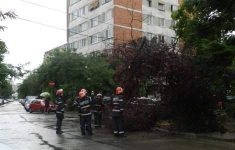 Un copac a cazut peste opt masini pe Soseaua Stefan cel Mare din Capitala