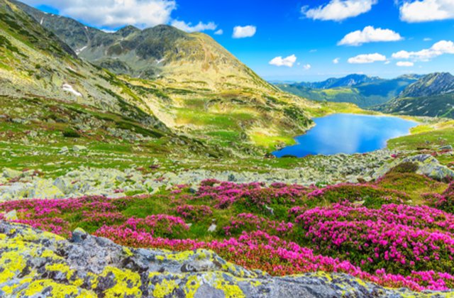 Munții României, în topul Daily Mail al locurilor de vizitat după ridicarea carantinei