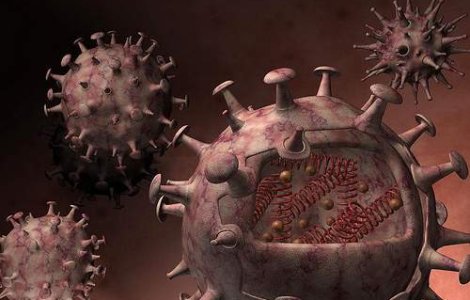 Microbul care te scapa de ulcer