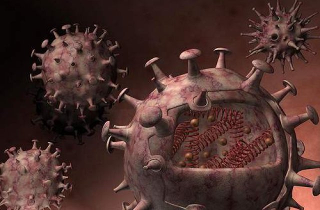 Microbul care te scapa de ulcer