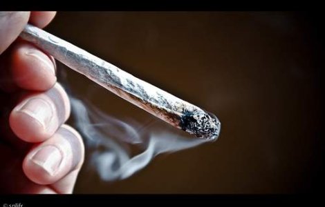 Drogurile legale castiga teren