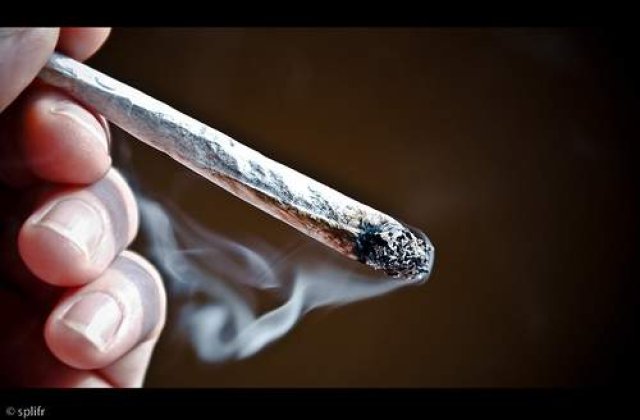 Drogurile legale castiga teren