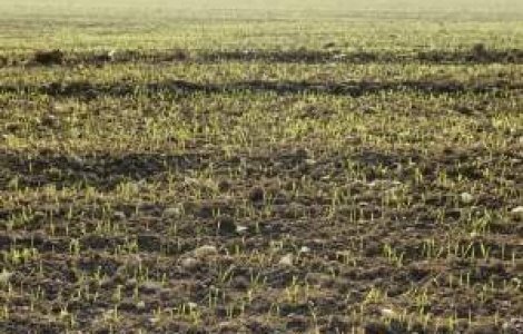 Guvernul va introduce un nou impozit pentru fermieri