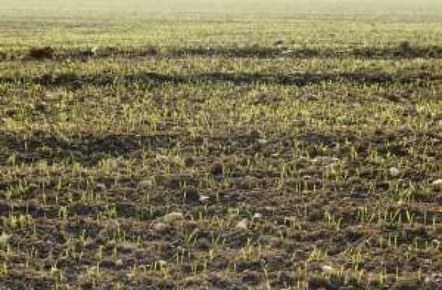 Guvernul va introduce un nou impozit pentru fermieri