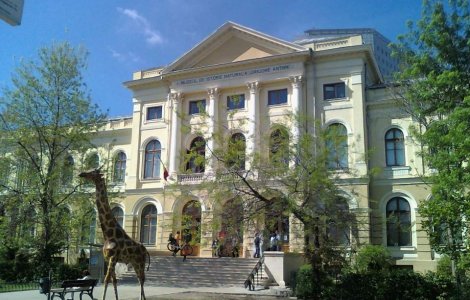 Muzeul Antipa va fi inchis de luni pana joi