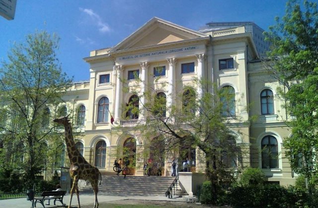 Muzeul Antipa va fi inchis de luni pana joi
