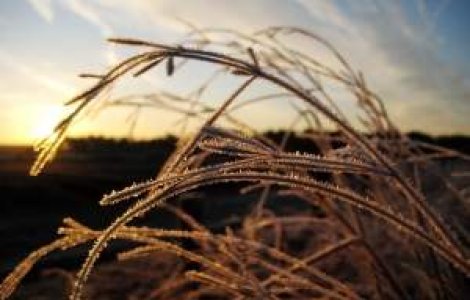 Prognoza meteo pentru urmatoarele doua saptamani: NU scapam de ninsori