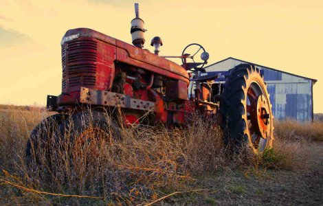 Fermierii afectați de secetă vor fi despăgubiți