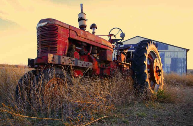 Fermierii afectați de secetă vor fi despăgubiți. Orban: „Vom aloca sumele de bani”
