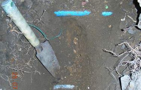 Poluarea cu plumb, noul exemplu al dilemei ecologice chineze