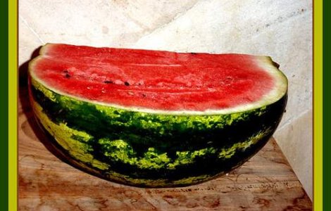 Pepenele rosu, combustibil auto?