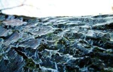 Meteo: Inca doua zile de "primavara", apoi vine gerul