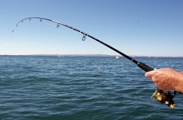 Vei putea merge la pescuit după 15 mai? Explicațiile lui Marcel Vela