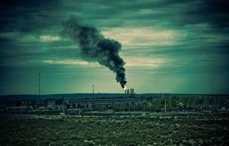 Copaci artificiali vor absorbi CO2-ul din atmosfera