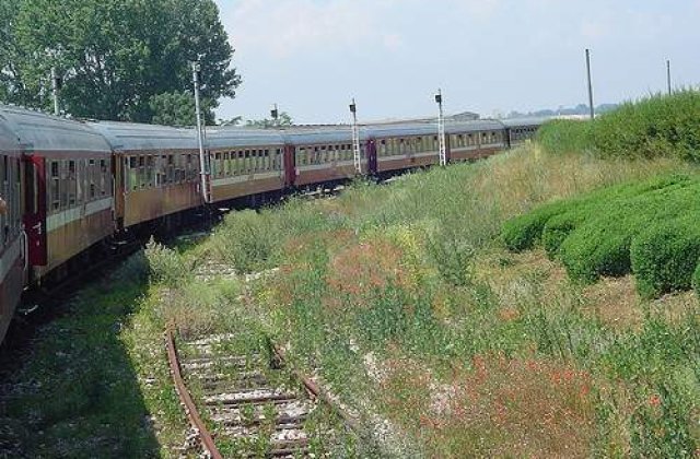 In criza, Ministerul Transporturilor anuleaza trenuri