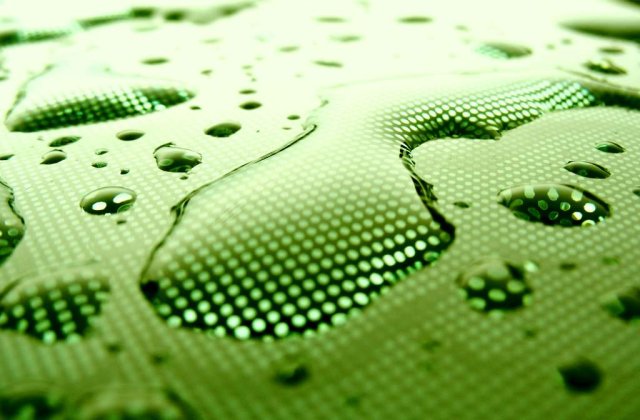 VIDEO: Spalatorie gratis in bikini numai pentru masini eco