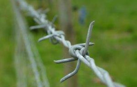 Un roman a furat o masina pentru a se caza la inchisoare