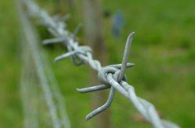 Un roman a furat o masina pentru a se caza la inchisoare