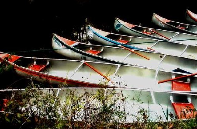 Romania, o noua medalie la Mondialele de canotaj