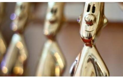 Premiile Gopo 2013: Au inceput inscrierile