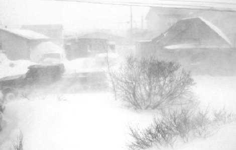 COD PORTOCALIU de ninsori si viscol pentru sapte judete