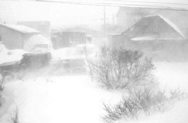 COD PORTOCALIU de ninsori  si viscol pentru sapte judete