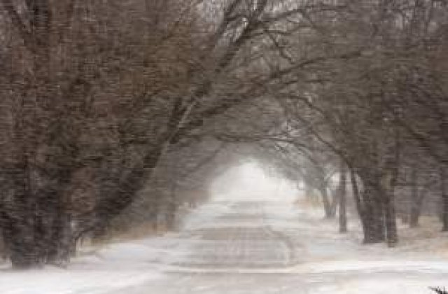 ANM mentine codul portocaliu de viscol pana la ora 20.00