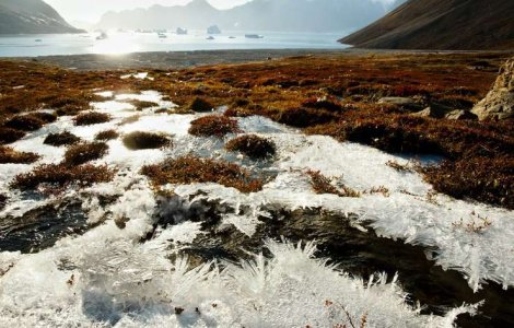 Pericolul nevăzut al încălzirii globale - noi pandemii ne-ar putea lovi în viitor