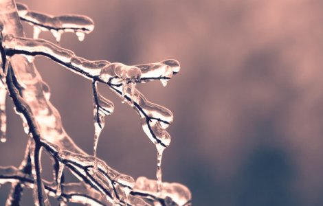 VIDEO Un vortex polar a lovit America. Când va ajunge și în România