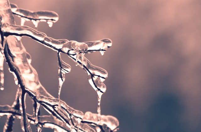 VIDEO Un vortex polar a lovit America. Când va ajunge și în România