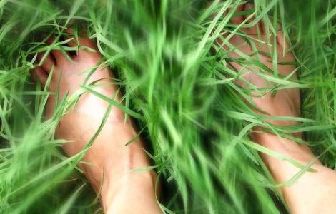 Bucurestenii au liber la statul pe iarba si plimbatul cu rolele in parcuri