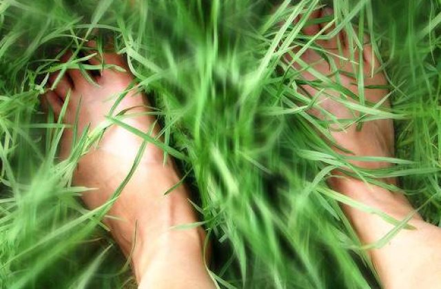 Bucurestenii au liber la statul pe iarba si plimbatul cu rolele in parcuri