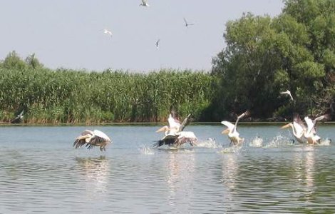 De trei ori mai putini turisti in Delta. Tot businessul nu face cat jumatate dintr-un hotel de 5 stele din Capitala