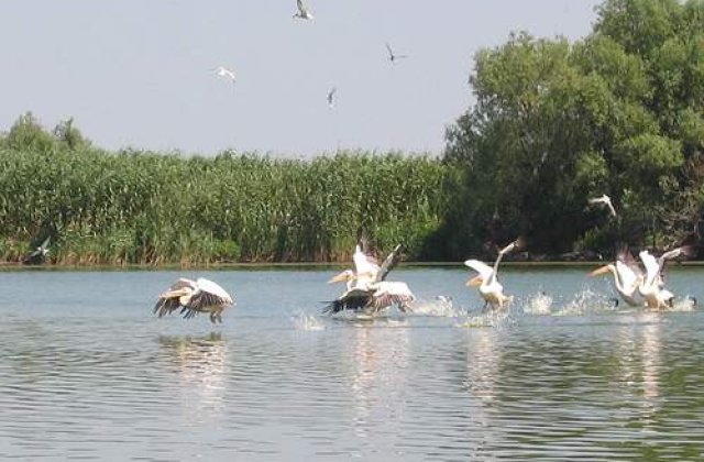 De trei ori mai putini turisti in Delta. Tot businessul nu face cat jumatate dintr-un hotel de 5 stele din Capitala