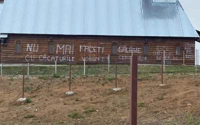 Revoltat de zgomotul...