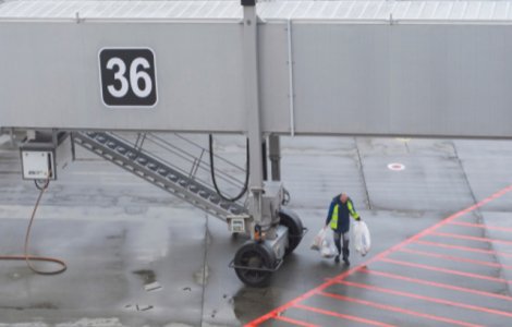 Dornic să își vadă iubita, s-a deghizat în gunoier pentru a păcăli vameșii