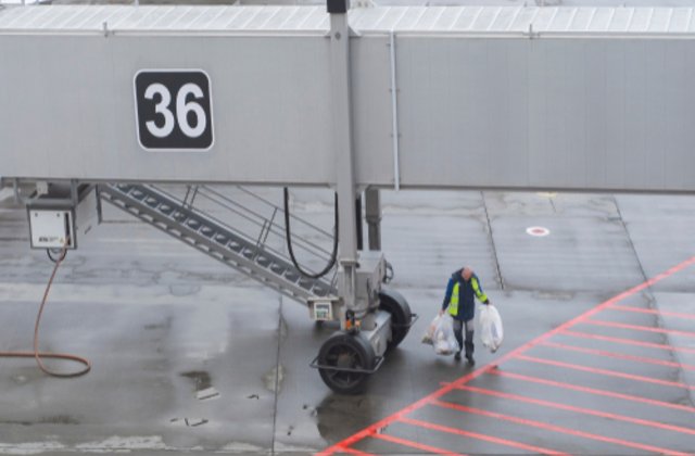 Lucrurile pe care le facem din dragoste. Dornic să &icirc;și vadă iubita, s-a deghizat &icirc;n gunoier pentru a păcăli vameșii