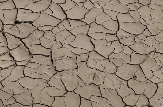 Agricultura românească, din nou pe ultimul loc. ALDE: „prioritatea” a fost trecută „mai la coadă”