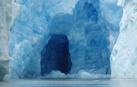 VIDEO: Greenpeace: &#39;Fara gheata nu e viata&#39;