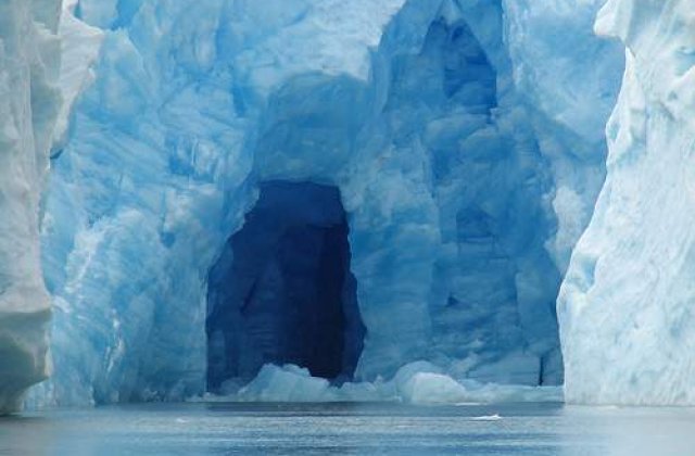 VIDEO: Greenpeace: &#39;Fara gheata nu e viata&#39;