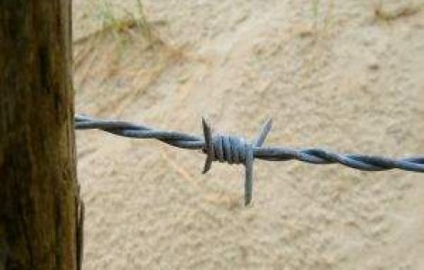 Ministerul Educatiei nu vrea scoli de corectie