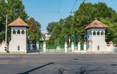 Un bărbat s-a urcat pe un stâlp la Cotroceni ca să-i ceară o casă lui Iohannis