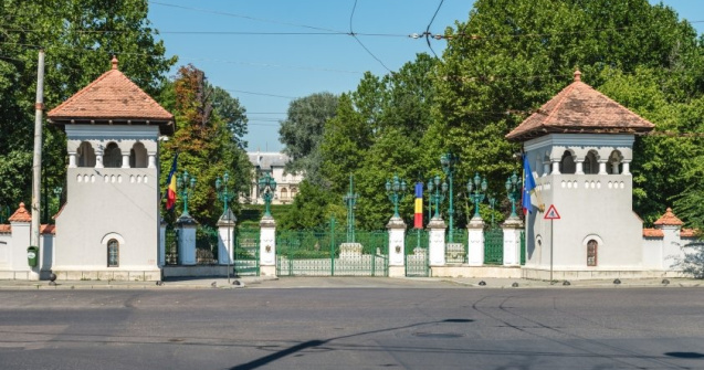 Un bărbat s-a urcat pe un stâlp la Cotroceni ca să-i ceară o casă lui Iohannis