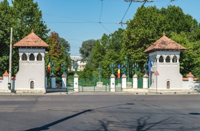 Un bărbat s-a urcat pe un stâlp la Cotroceni ca să-i ceară o casă lui Iohannis