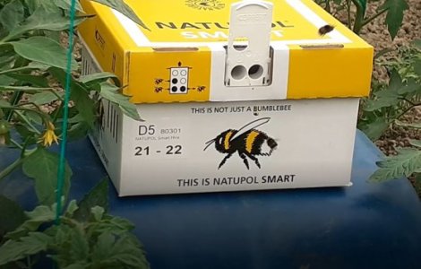 Fermierul care a ajuns la un profit de mii de euro cu ajutorul unor insecte