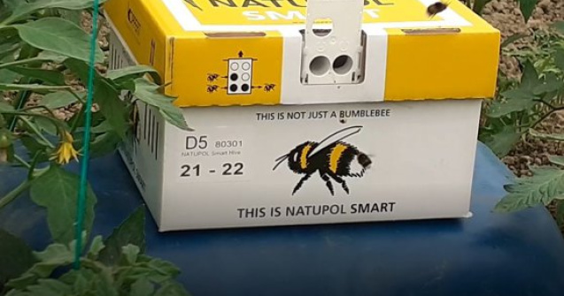 Fermierul care a ajuns la un profit de mii de euro cu ajutorul unor insecte