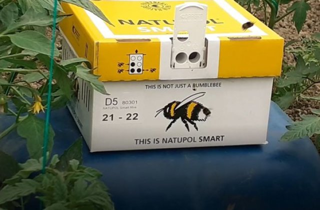 Fermierul din Dolj care a ajuns la un profit de mii de euro cu ajutorul unor insecte. Care este secretul acestuia