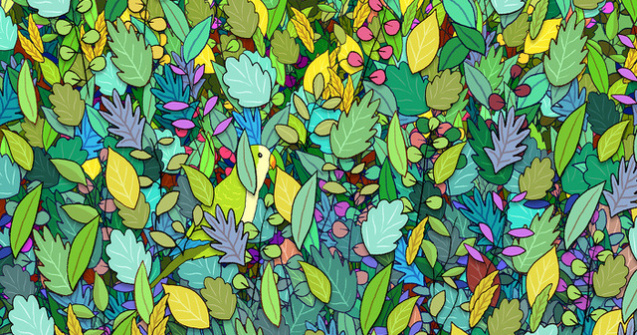  Top  Testează-ți simțul observației. Poți găsi obiectele ascunse în aceste imagini?