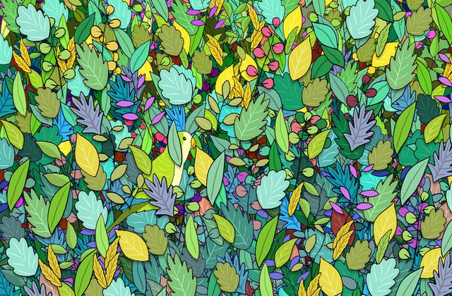 Testează-ți simțul observației. Poți găsi obiectele ascunse în aceste imagini?